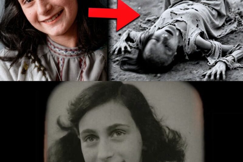 See the brutal death of Anne Frank – Her suffering at the hands of the N4zis – World War II