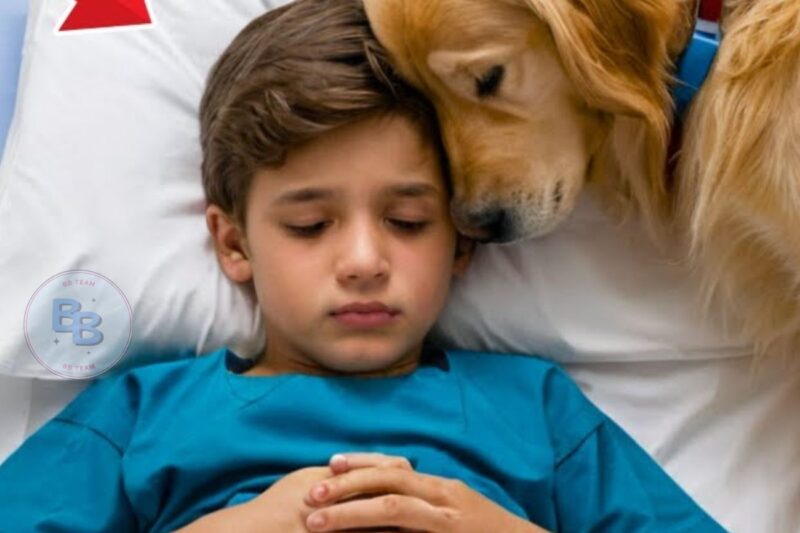The Medical Miracle Doctors Missed: What This Dog …