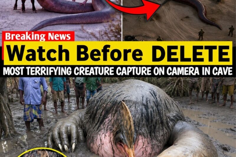 What Was Found Inside Utah’s Caves Is Terrifying