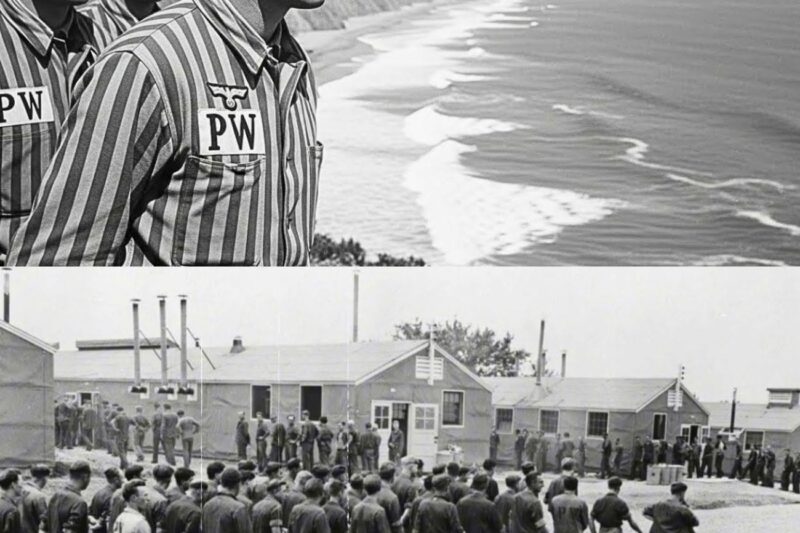 Nazi prisoners of war in California saw the Pacific coast — they couldn’t believe it was real