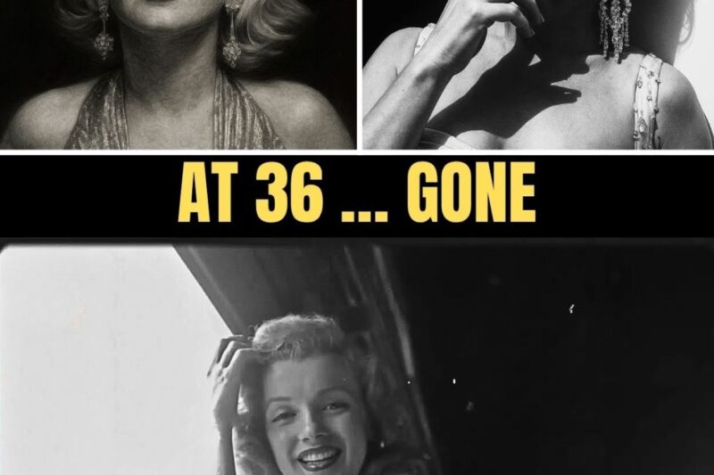 At 36, Marilyn Monroe Paid the Ultimate Price Of Fame | DNA