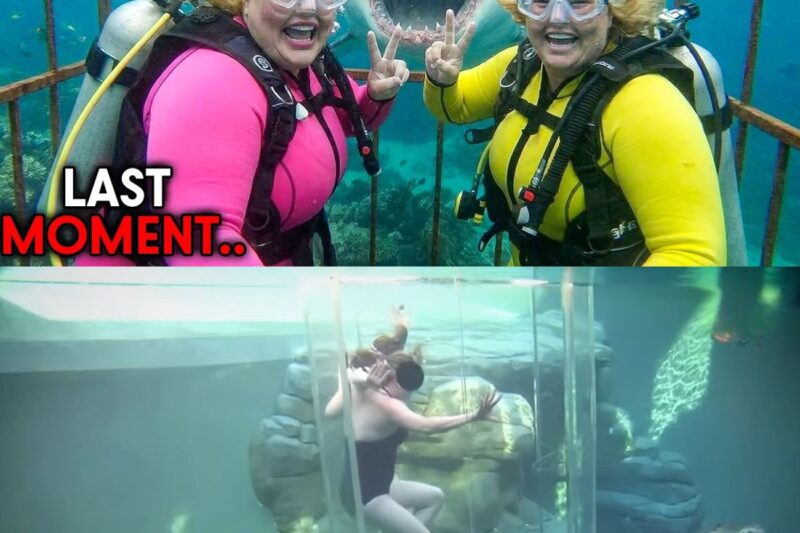 The Last Minutes Of Cage Divers Kendra and Margene