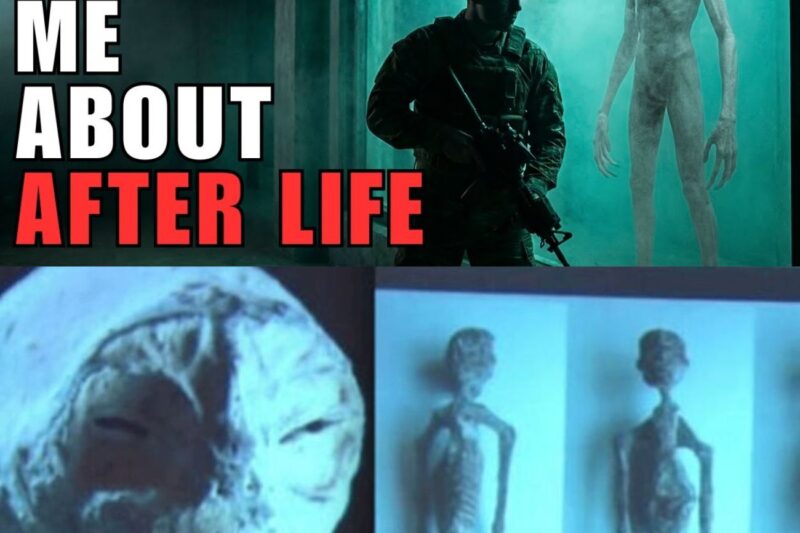 I Asked a Captured Alien What Happens After Humans Die