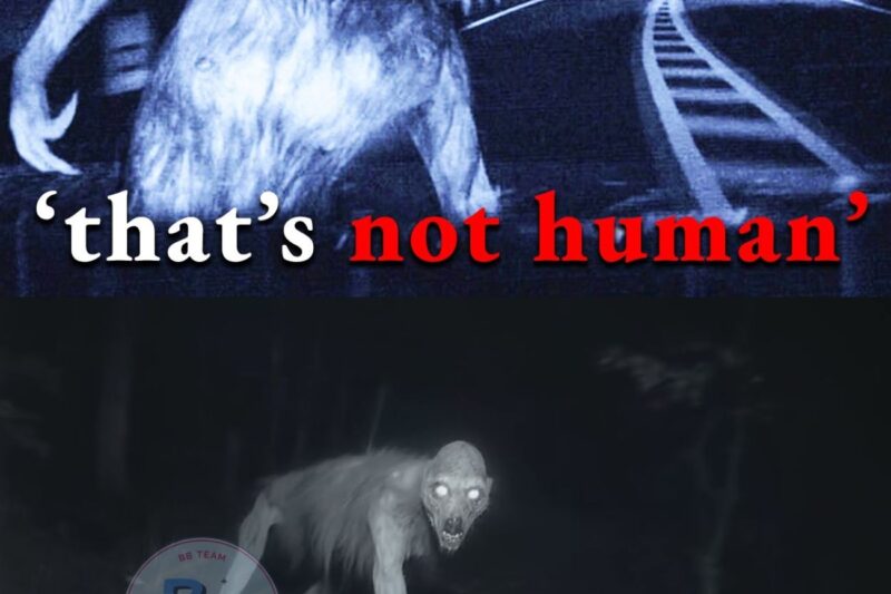 This Verified 911 Call From a North Carolina Highway Has No Rational Explanation