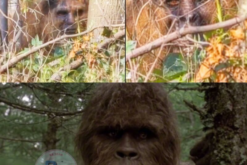 2026 DISTURBING BIGFOOT SIGHTING IN APPALACHIAN MOUNTAINS
